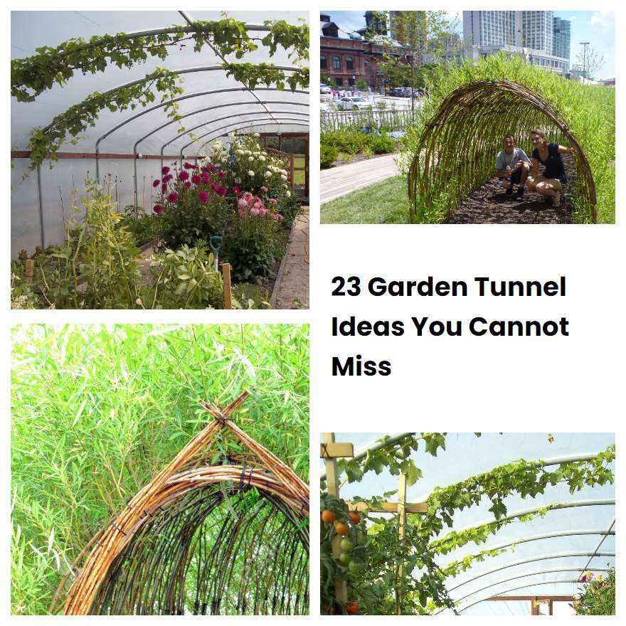 23 Garden Tunnel Ideas You Cannot Miss SharonSable