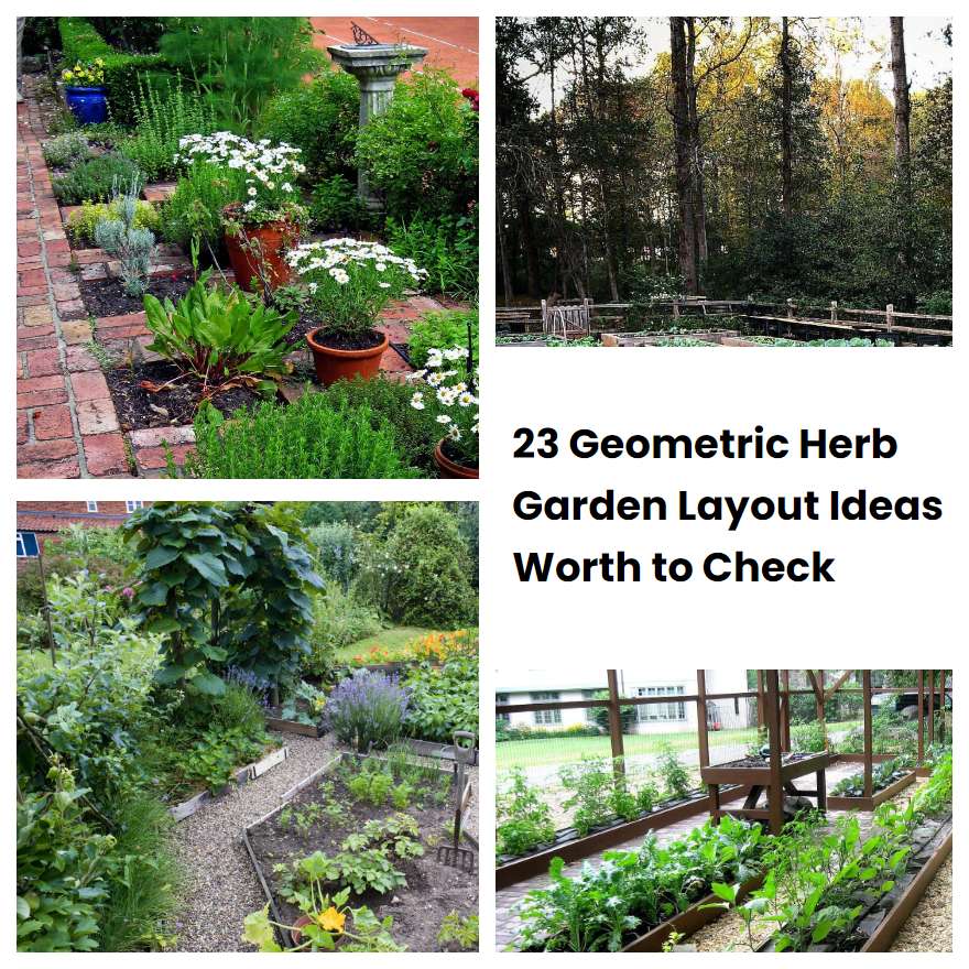 23 Geometric Herb Garden Layout Ideas Worth to Check