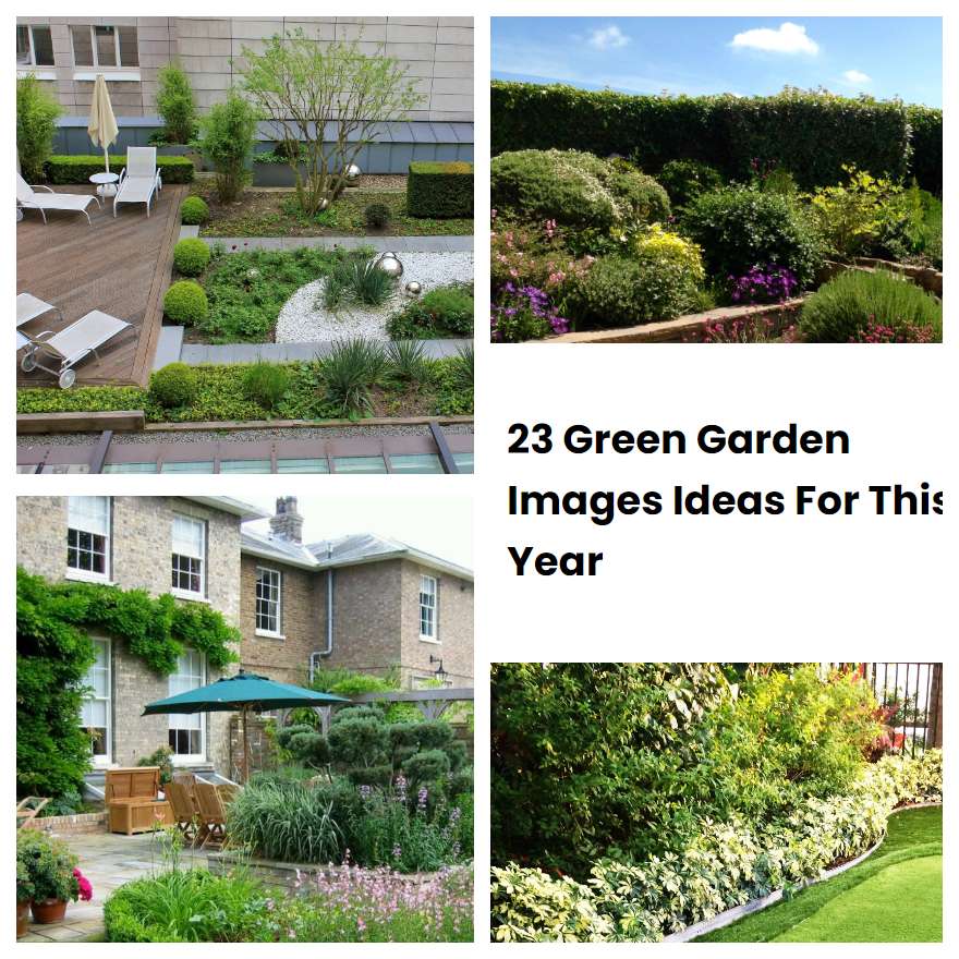 23 Green Garden Images Ideas For This Year