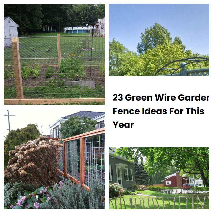 23 Green Wire Garden Fence Ideas For This Year