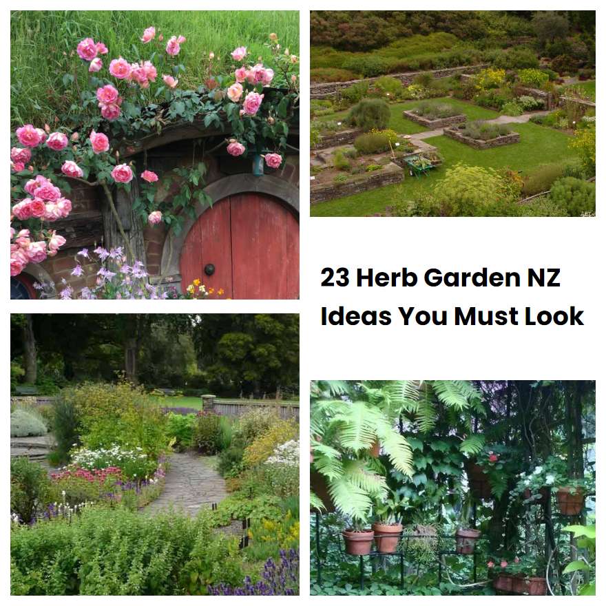 23 Herb Garden NZ Ideas You Must Look SharonSable