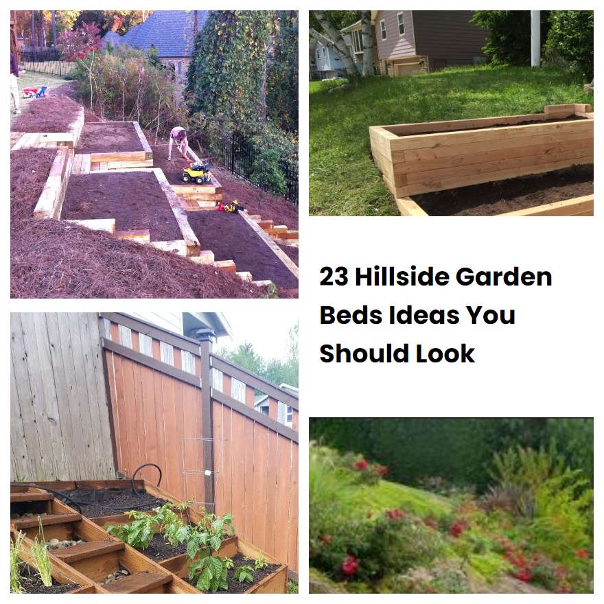 23 Hillside Garden Beds Ideas You Should Look SharonSable