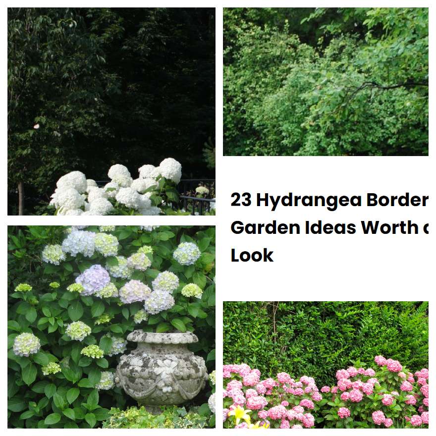 23 Hydrangea Border Garden Ideas Worth a Look SharonSable