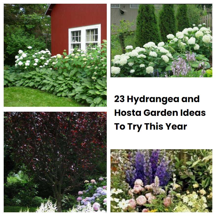 23 Hydrangea and Hosta Garden Ideas To Try This Year