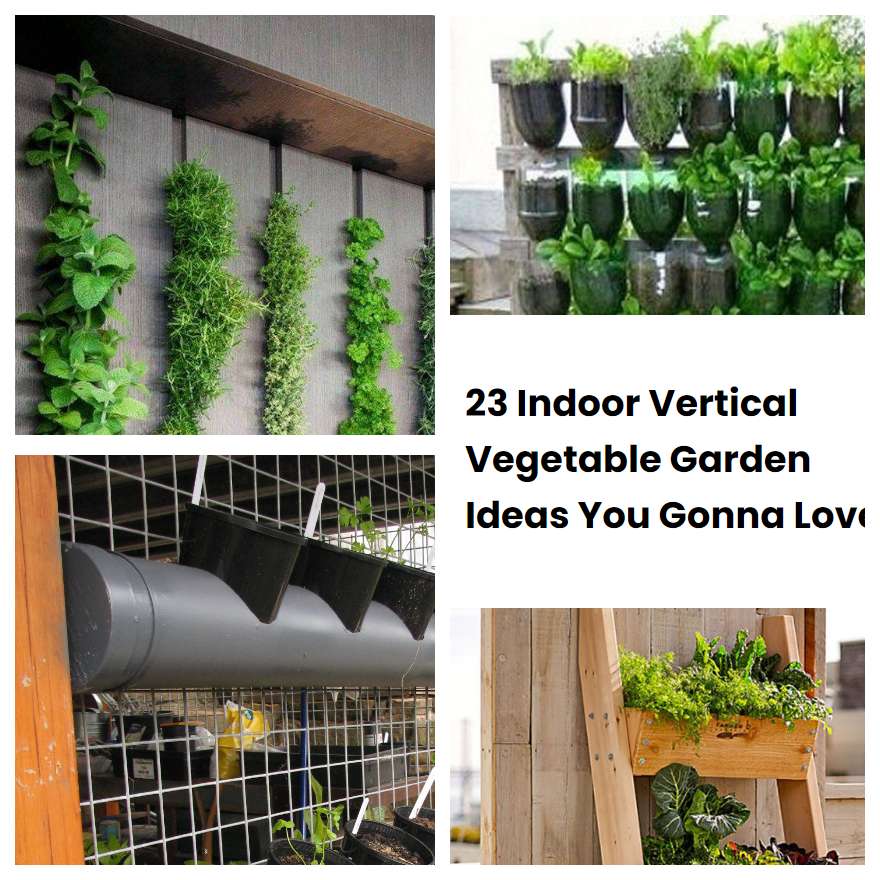 23 Indoor Vertical Vegetable Garden Ideas You Gonna Love SharonSable