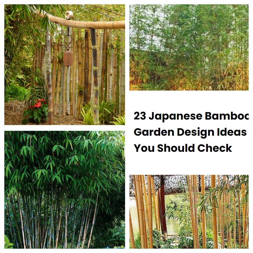 23 Japanese Bamboo Garden Design Ideas You Should Check