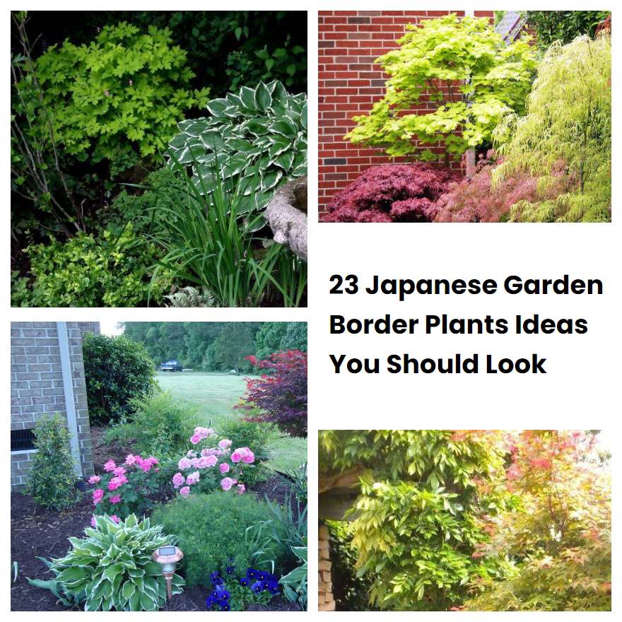 23 Japanese Garden Border Plants Ideas You Should Look