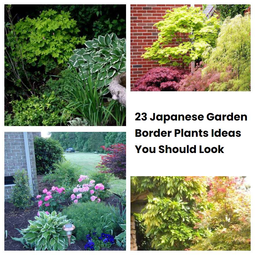 23 Japanese Garden Border Plants Ideas You Should Look SharonSable