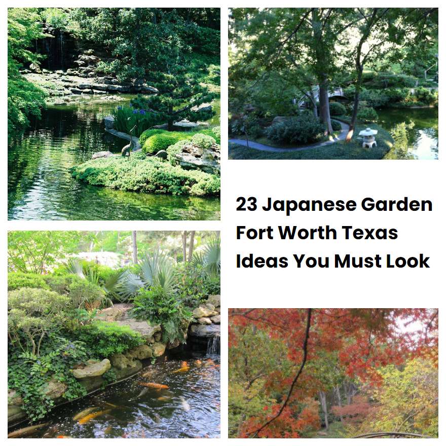 23 Japanese Garden Fort Worth Texas Ideas You Must Look
