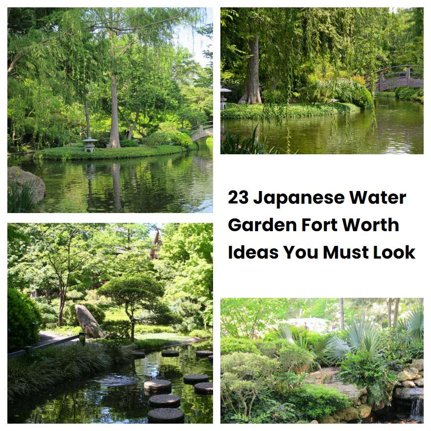 23 Japanese Water Garden Fort Worth Ideas You Must Look