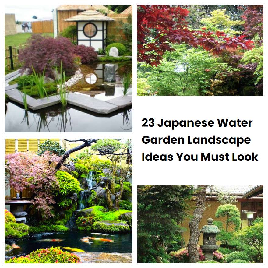23 Japanese Water Garden Landscape Ideas You Must Look