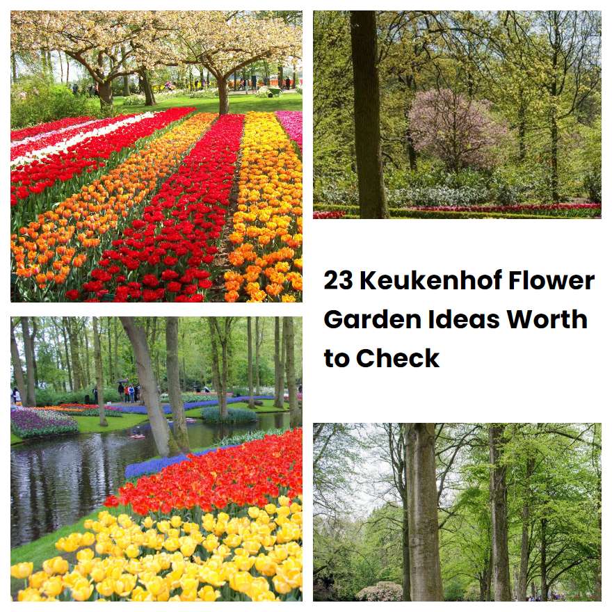 23 Keukenhof Flower Garden Ideas Worth to Check