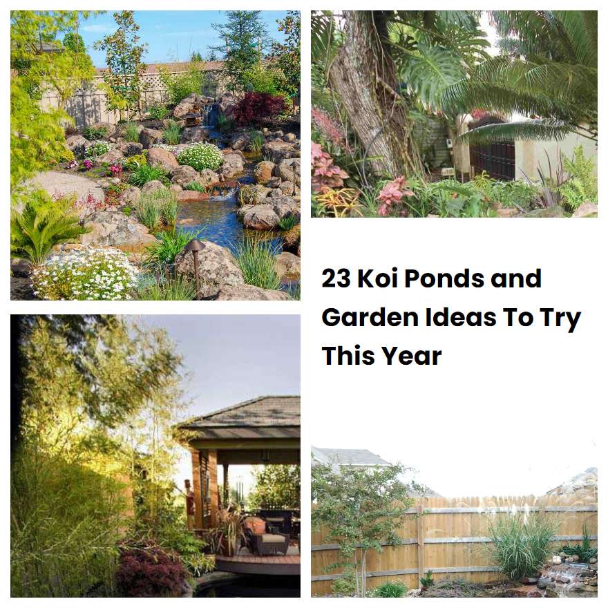 23 Koi Ponds and Garden Ideas To Try This Year