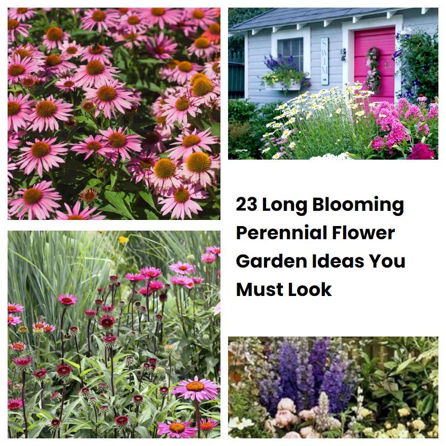 23 Long Blooming Perennial Flower Garden Ideas You Must Look SharonSable