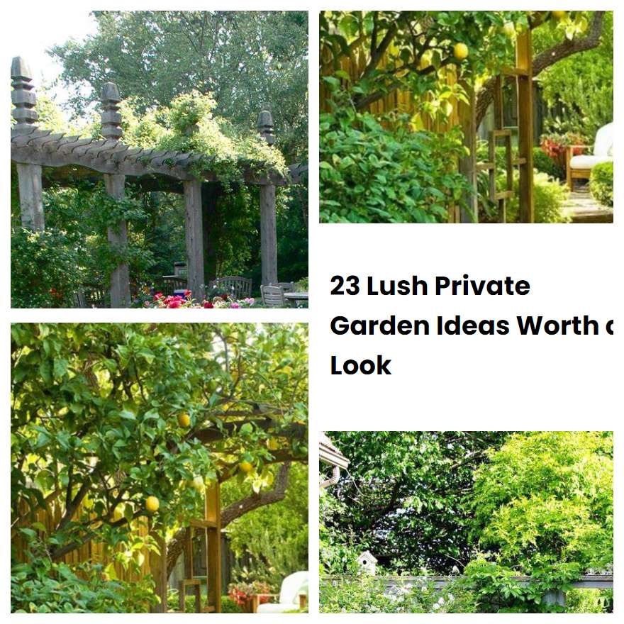 23 Lush Private Garden Ideas Worth a Look