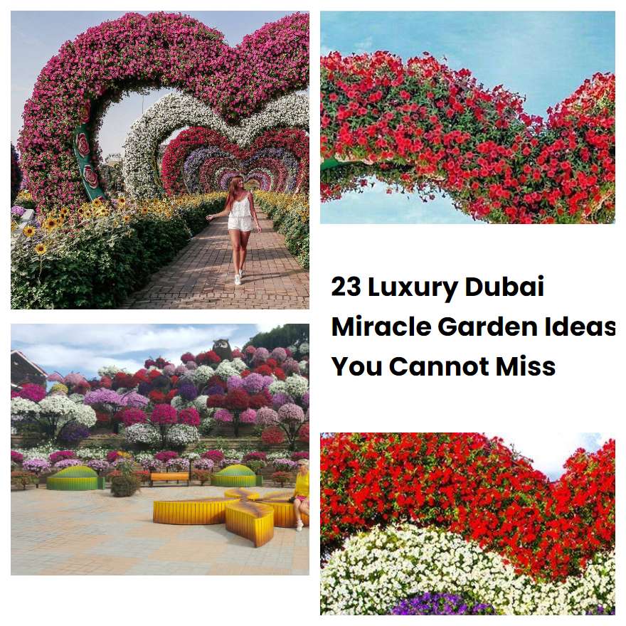 23 Luxury Dubai Miracle Garden Ideas You Cannot Miss