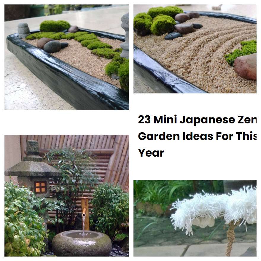 23 Mini Japanese Zen Garden Ideas For This Year SharonSable