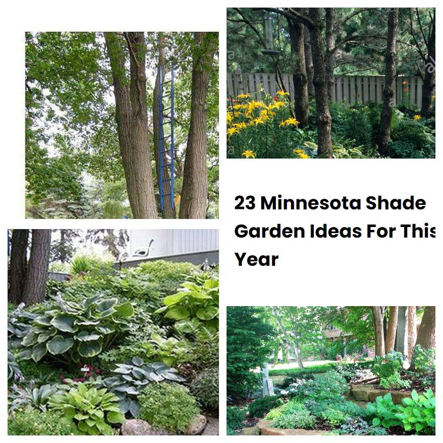 23 Minnesota Shade Garden Ideas For This Year