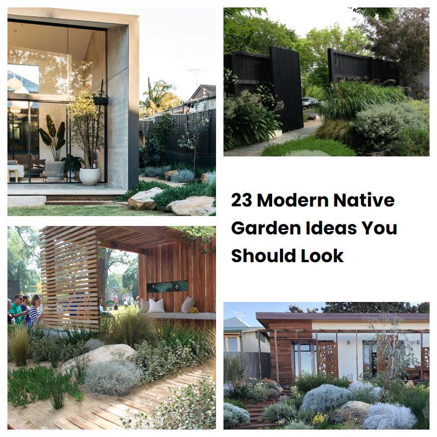 23 Modern Native Garden Ideas You Should Look