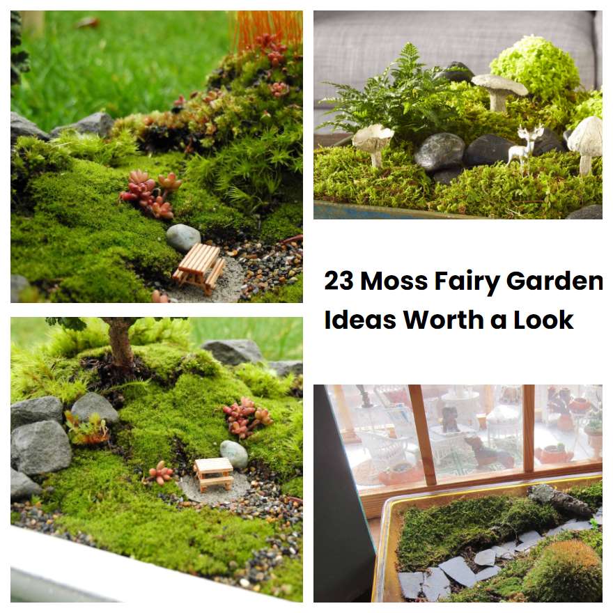 23 Moss Fairy Garden Ideas Worth a Look