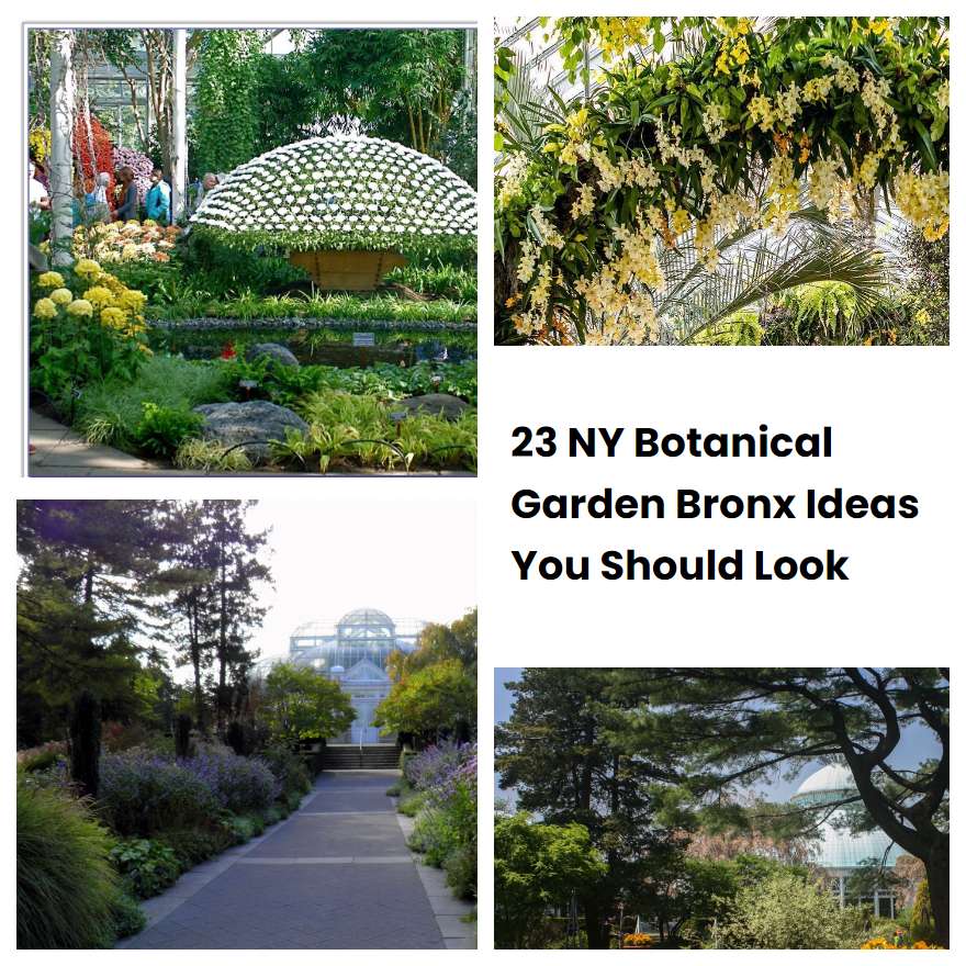 23 NY Botanical Garden Bronx Ideas You Should Look