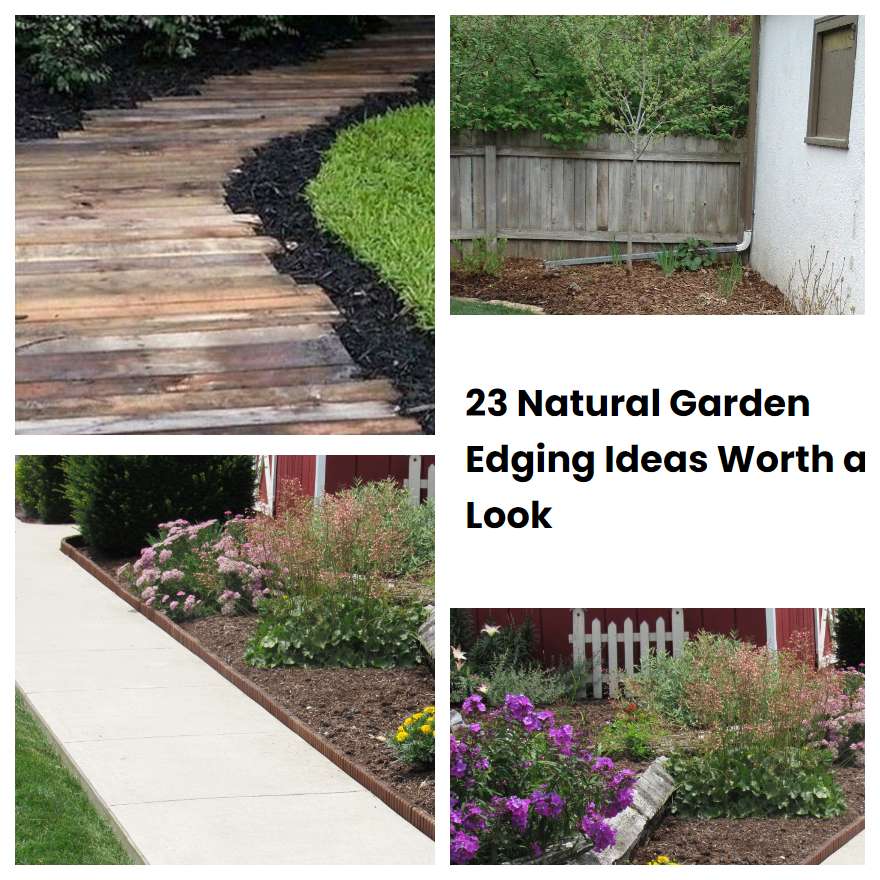 23 Natural Garden Edging Ideas Worth a Look SharonSable