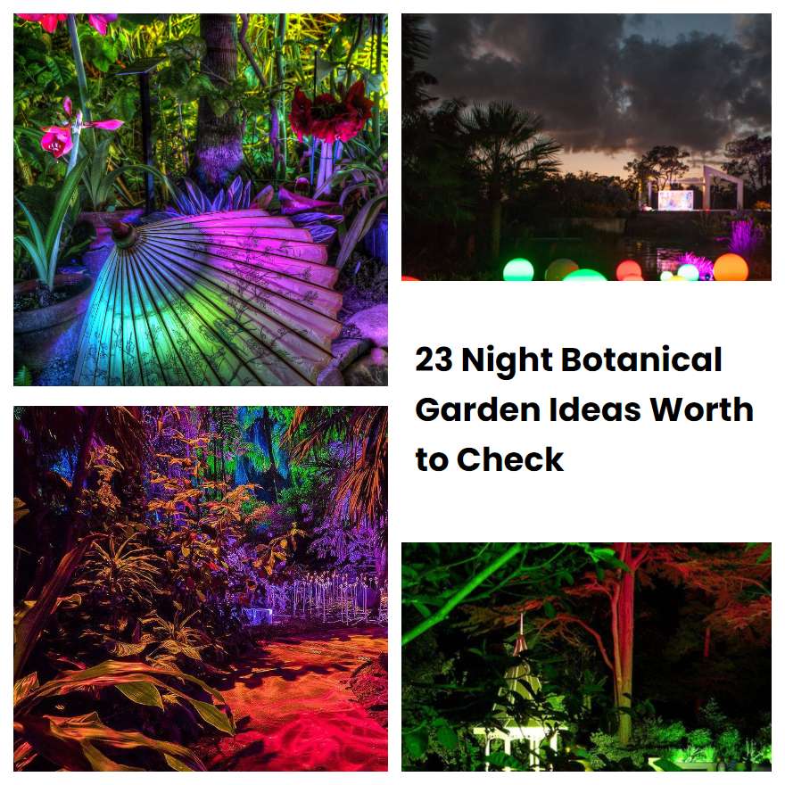 23 Night Botanical Garden Ideas Worth to Check SharonSable