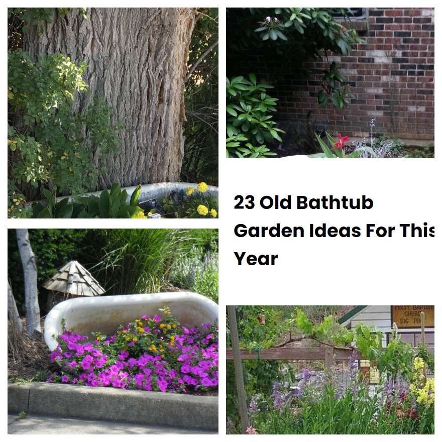 23 Old Bathtub Garden Ideas For This Year SharonSable