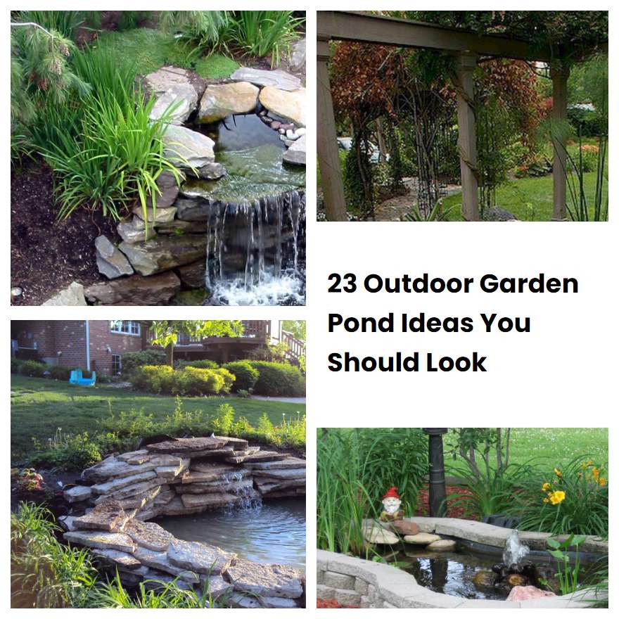23 Outdoor Garden Pond Ideas You Should Look SharonSable
