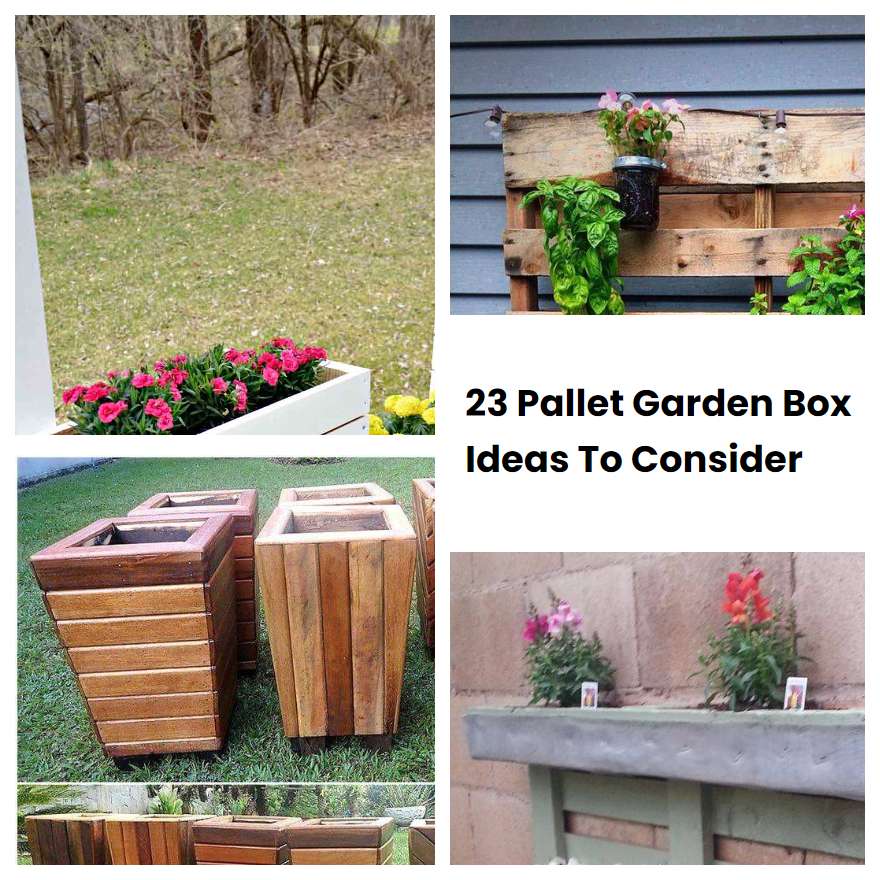23 Pallet Garden Box Ideas To Consider SharonSable
