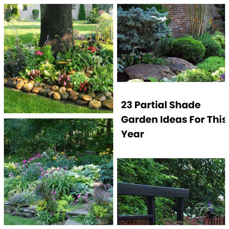 23 Partial Shade Garden Ideas For This Year SharonSable