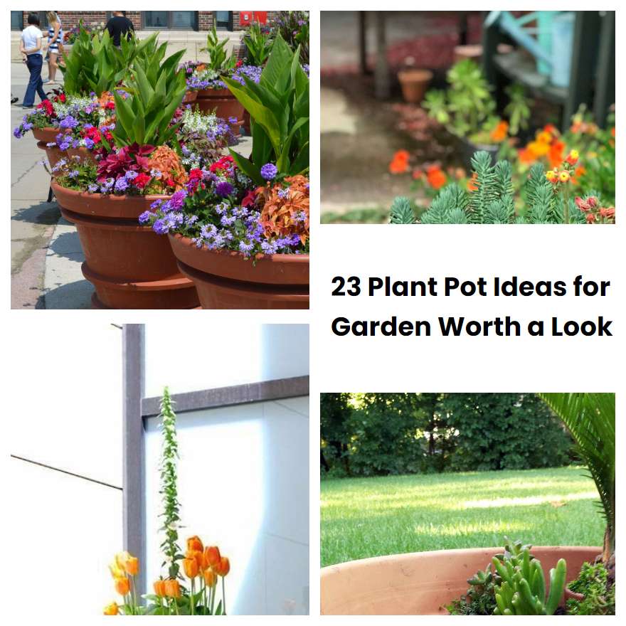 23 Plant Pot Ideas for Garden Worth a Look SharonSable