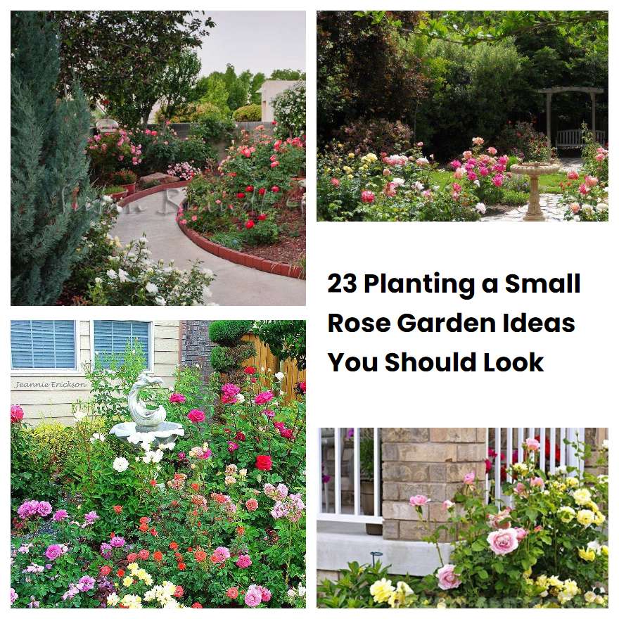 23 Planting a Small Rose Garden Ideas You Should Look SharonSable