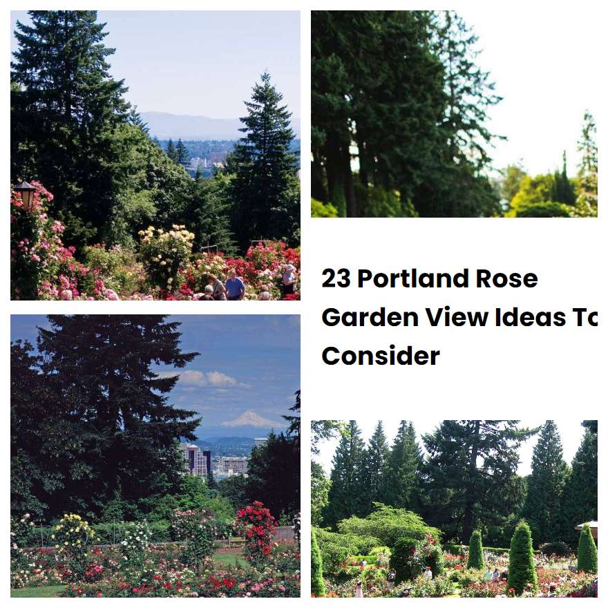 23 Portland Rose Garden View Ideas To Consider