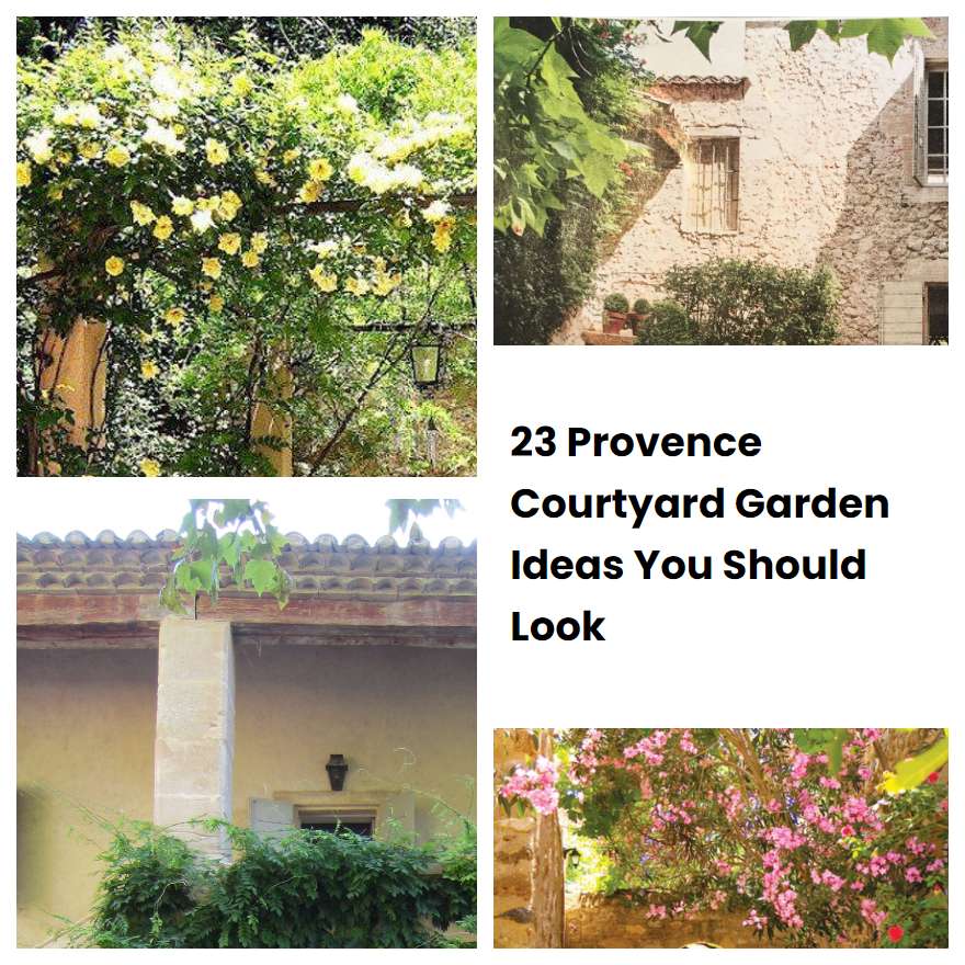 23 Provence Courtyard Garden Ideas You Should Look