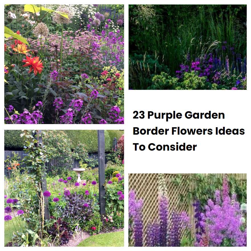 23 Purple Garden Border Flowers Ideas To Consider SharonSable