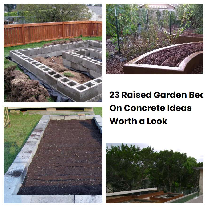 23 Raised Garden Bed On Concrete Ideas Worth a Look SharonSable