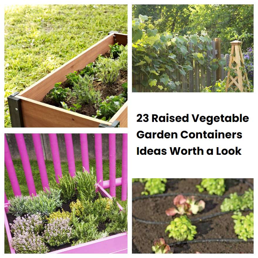 23 Raised Vegetable Garden Containers Ideas Worth a Look SharonSable