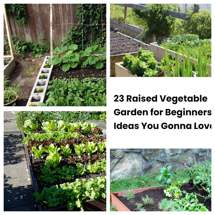 23 Raised Vegetable Garden for Beginners Ideas You Gonna Love