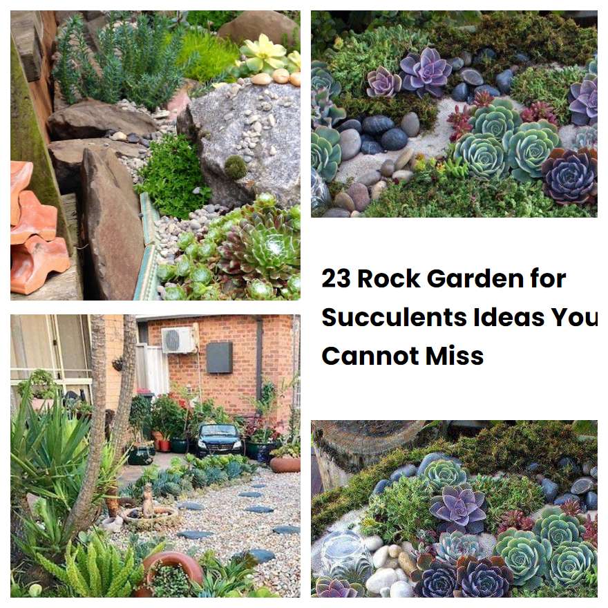 23 Rock Garden for Succulents Ideas You Cannot Miss