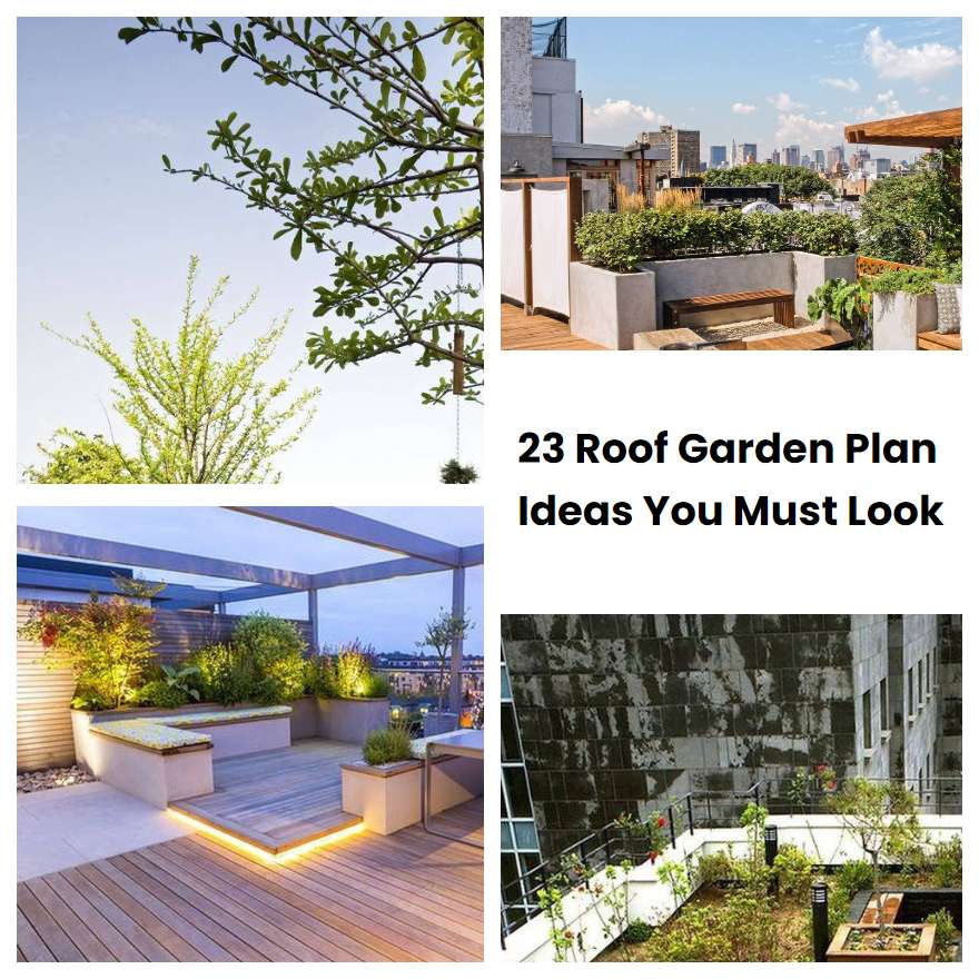 23 Roof Garden Plan Ideas You Must Look
