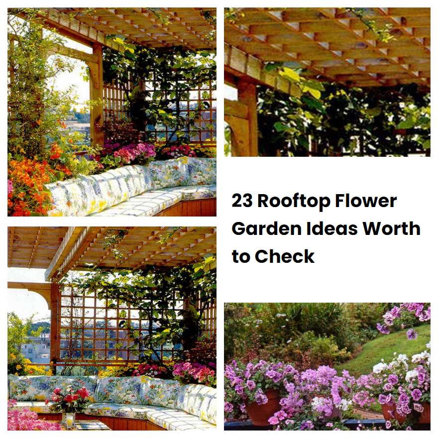 23 Rooftop Flower Garden Ideas Worth to Check SharonSable