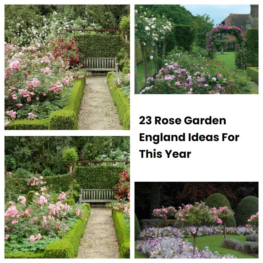23 Rose Garden England Ideas For This Year