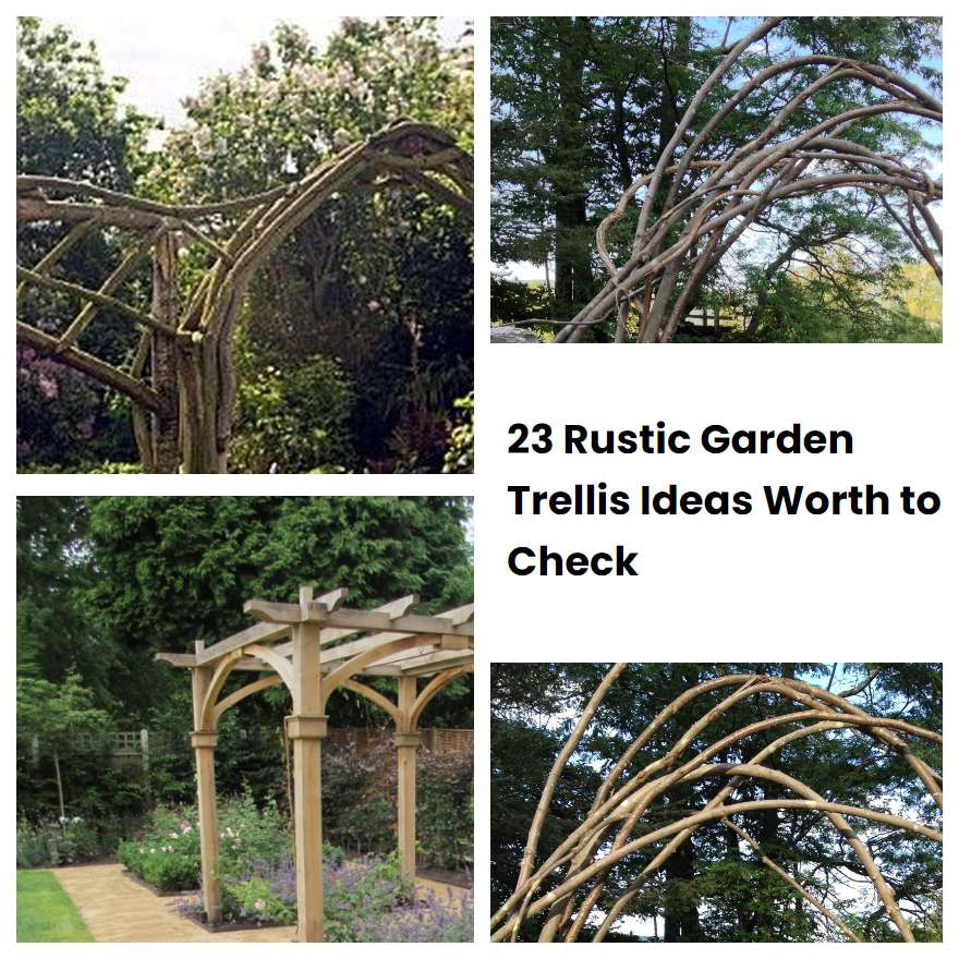 23 Rustic Garden Trellis Ideas Worth to Check SharonSable