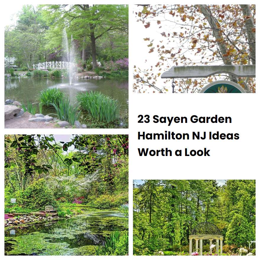 23 Sayen Garden Hamilton NJ Ideas Worth a Look
