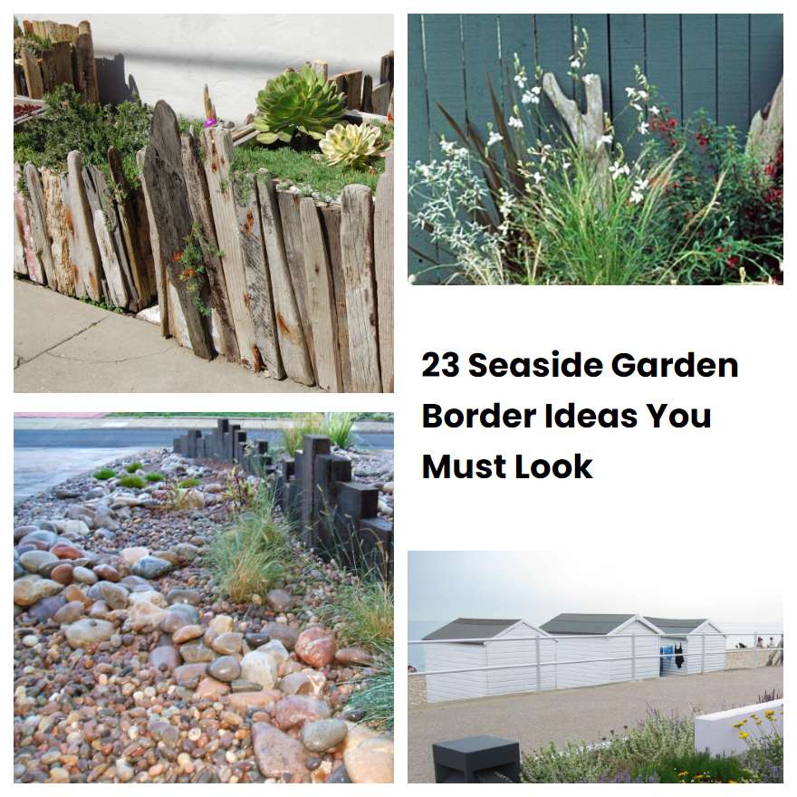 23 Seaside Garden Border Ideas You Must Look