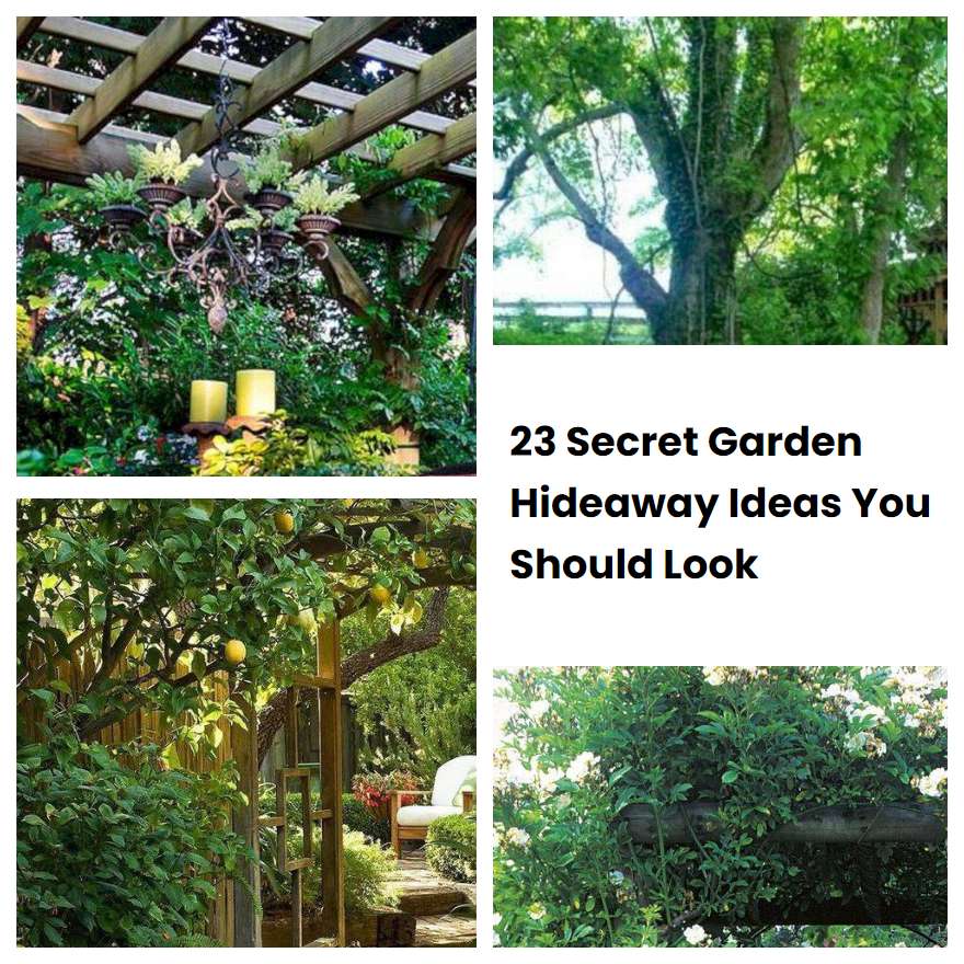 23 Secret Garden Hideaway Ideas You Should Look