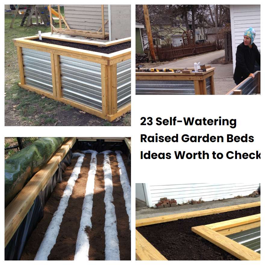 23 SelfWatering Raised Garden Beds Ideas Worth to Check SharonSable