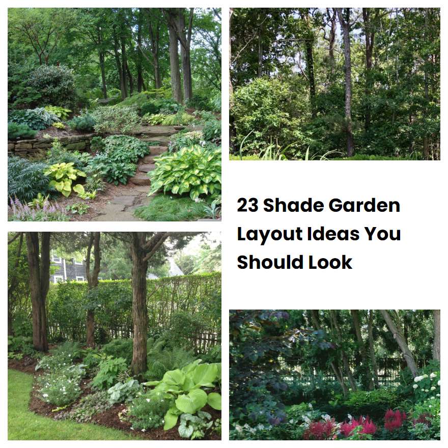 23 Shade Garden Layout Ideas You Should Look