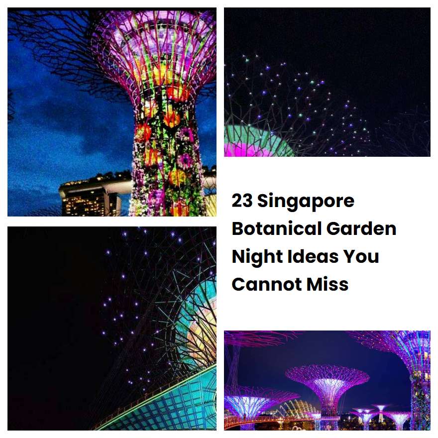 23 Singapore Botanical Garden Night Ideas You Cannot Miss SharonSable